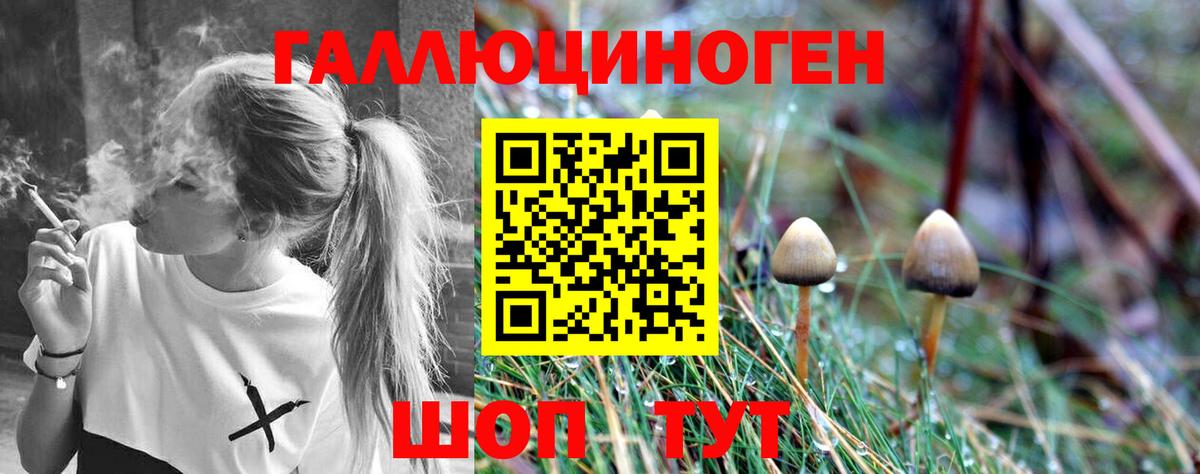 наркошоп  Вход с VPN  Галлюциногенные грибы Psilocybe  Южноуральск  Галлюциногенные грибы прущие грибы 