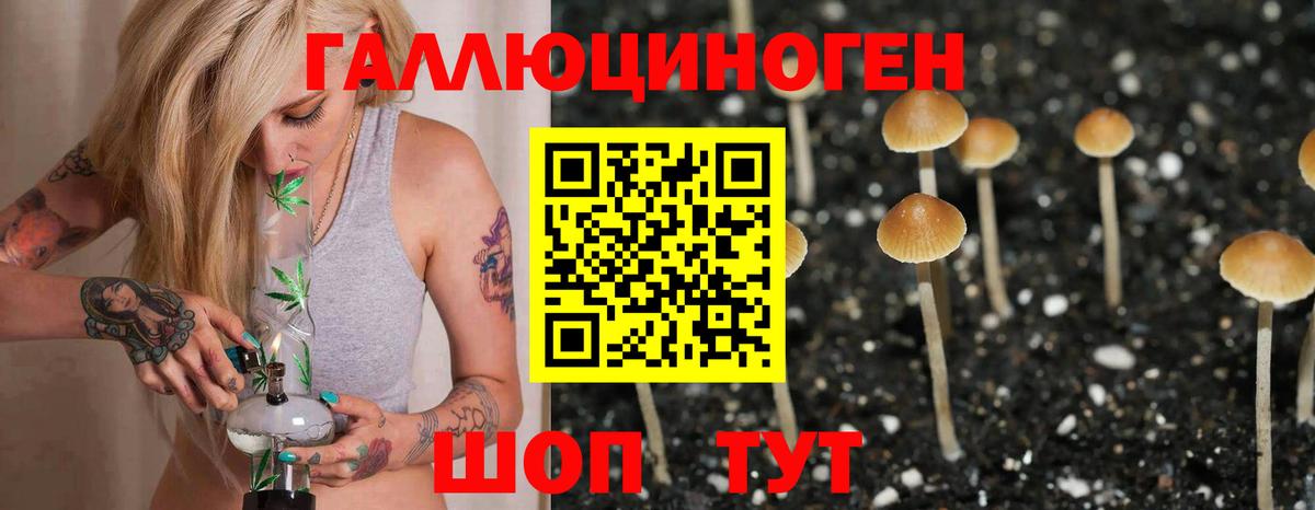 Галлюциногенные грибы Cubensis Южноуральск